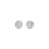Desert Blossom Earrings